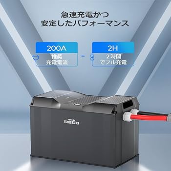 Renogy レノジー リン酸鉄リチウムイオンバッテリー 専用充電器12V20A RENOGY Renogy 12V 20A リン酸鉄リチウムイオンバッテリー専用